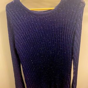 Women’s Sparkly Sweater
